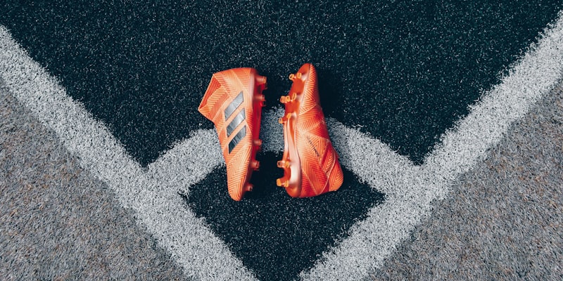 世界杯比赛场馆内部设施与观众席全景